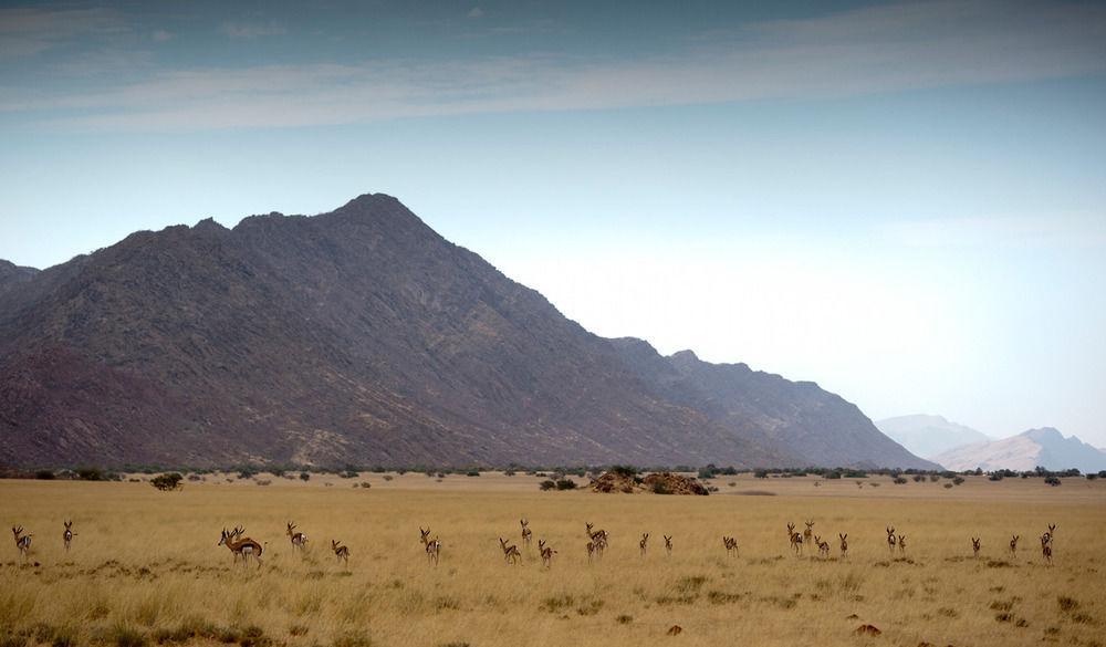 Okahirongo Elephant Lodge Purros Екстериор снимка